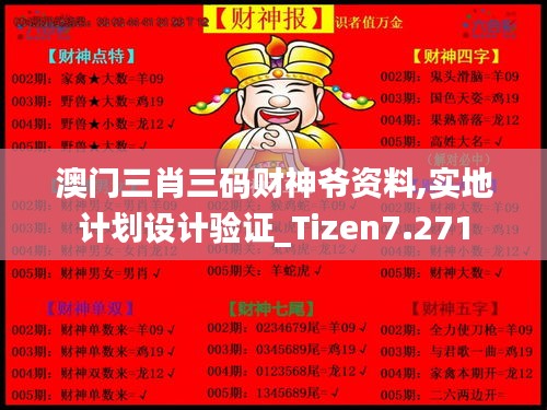 澳门三肖三码财神爷资料,实地计划设计验证_Tizen7.271