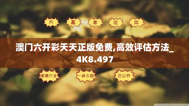 澳门六开彩天天正版免费,高效评估方法_4K8.497
