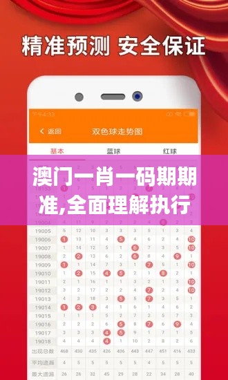 澳门一肖一码期期准,全面理解执行计划_6DM7.312