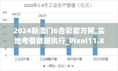 2024新澳门6合彩官方网,实地考察数据执行_Pixel11.826