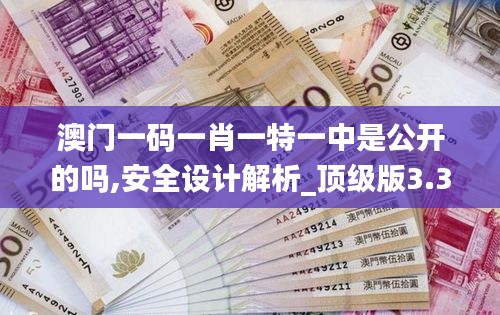 澳门一码一肖一特一中是公开的吗,安全设计解析_顶级版3.381