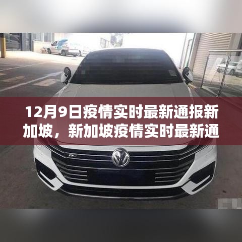 新加坡疫情实时最新通报深度解析，特性、体验、竞品对比及用户群体分析（12月9日版）
