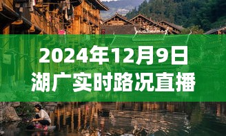 湖广小巷美食探秘与实时路况直播的不期而遇