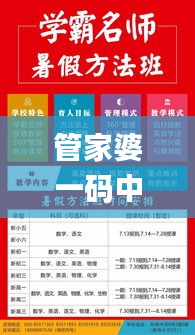 管家婆一码中奖,数据整合执行策略_豪华款1.767