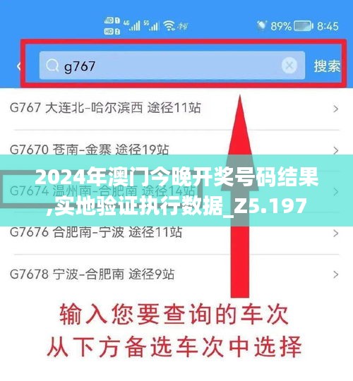 2024年澳门今晚开奖号码结果,实地验证执行数据_Z5.197