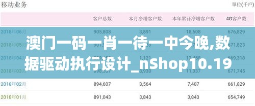 澳门一码一肖一待一中今晚,数据驱动执行设计_nShop10.192
