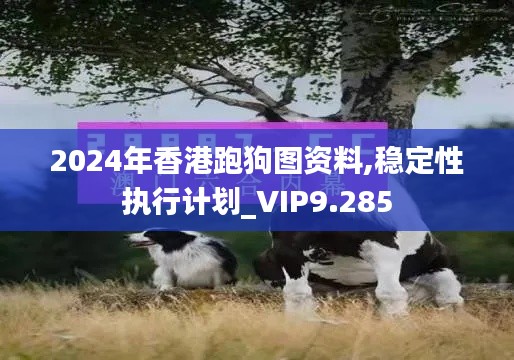 2024年香港跑狗图资料,稳定性执行计划_VIP9.285