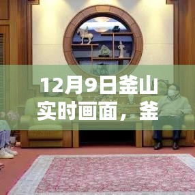 釜山暖心一日，12月9日的温馨画面实时记录