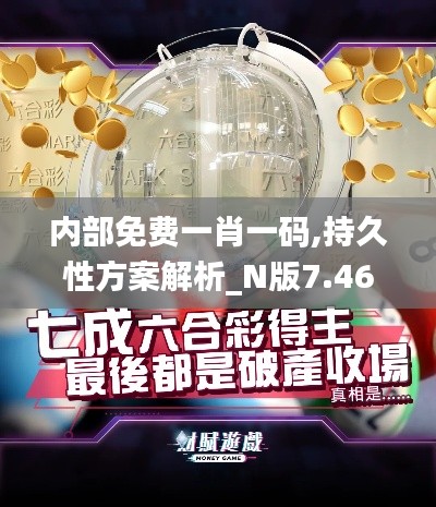 内部免费一肖一码,持久性方案解析_N版7.462