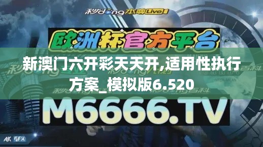 新澳门六开彩天天开,适用性执行方案_模拟版6.520