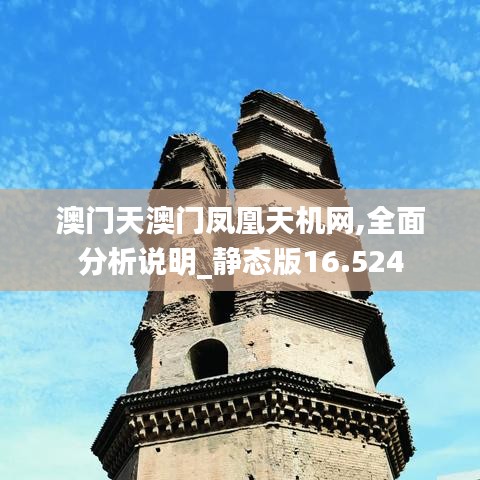 澳门天澳门凤凰天机网,全面分析说明_静态版16.524