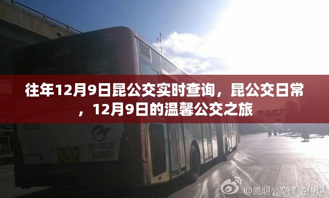 12月9日昆公交实时查询，温馨公交之旅的日常