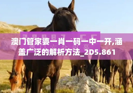 澳门管家婆一肖一码一中一开,涵盖广泛的解析方法_2D5.861