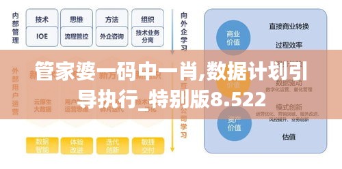 管家婆一码中一肖,数据计划引导执行_特别版8.522