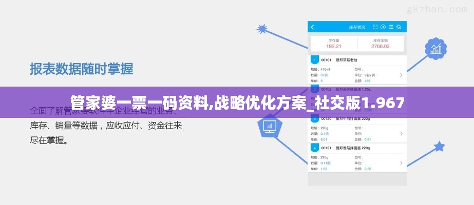 管家婆一票一码资料,战略优化方案_社交版1.967