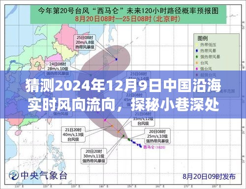 探秘小巷秘境,预测中国沿海风向流向与独特风味小店揭秘