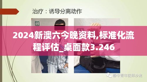 2024新澳六今晚资料,标准化流程评估_桌面款3.246