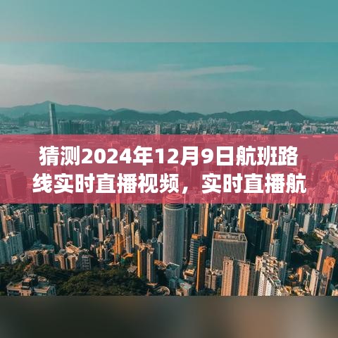 揭秘，如何观看并猜测2024年12月9日航班实时动态直播视频与路线分析