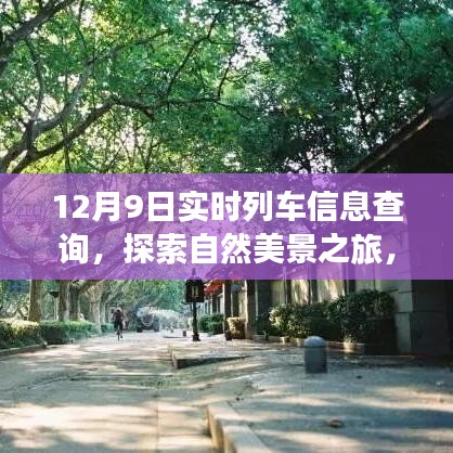 12月9日列车启程，探索自然美景，邂逅和谐之旅的喜悦与平静