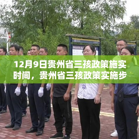 贵州省三孩政策详解，实施时间、步骤及适应新政策指南（初学者与进阶用户均适用）