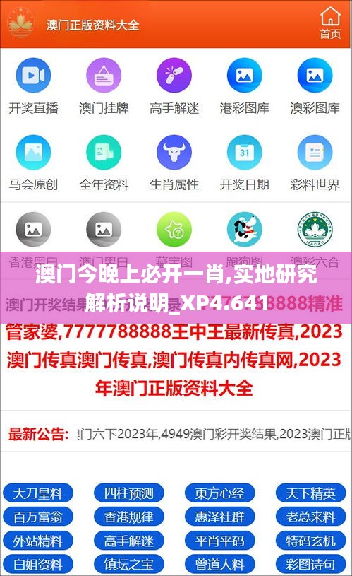 澳门今晚上必开一肖,实地研究解析说明_XP4.641