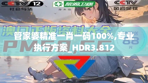 管家婆精准一肖一码100%,专业执行方案_HDR3.812