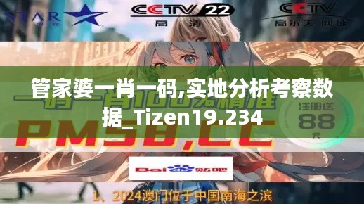 管家婆一肖一码,实地分析考察数据_Tizen19.234