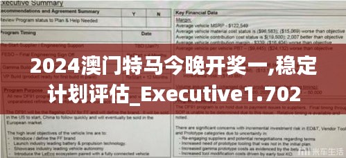 2024澳门特马今晚开奖一,稳定计划评估_Executive1.702