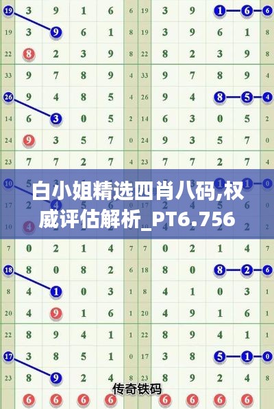 白小姐精选四肖八码,权威评估解析_PT6.756