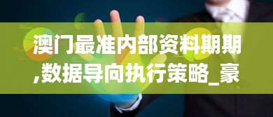 澳门最准内部资料期期,数据导向执行策略_豪华款10.911
