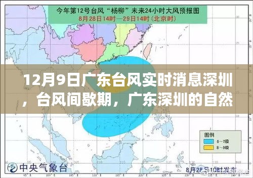 广东台风间歇期的深圳自然探索之旅，寻找心灵的宁静港湾在台风实时消息中展开