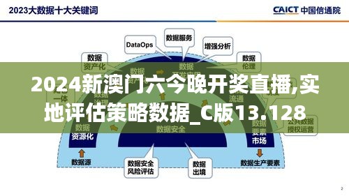 2024新澳门六今晚开奖直播,实地评估策略数据_C版13.128