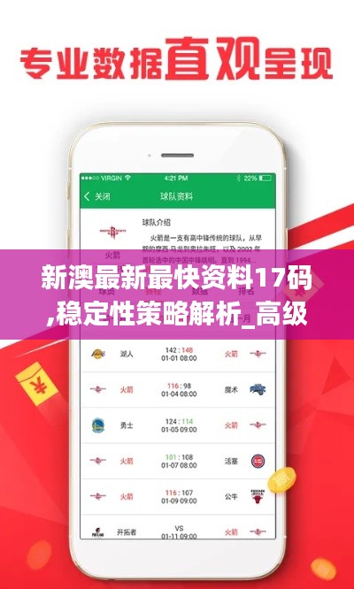 新澳最新最快资料17码,稳定性策略解析_高级版6.561