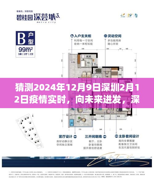 深圳疫情下的励志故事与成长力量，向未来进发，展望疫情实时动态（2024年2月12日）