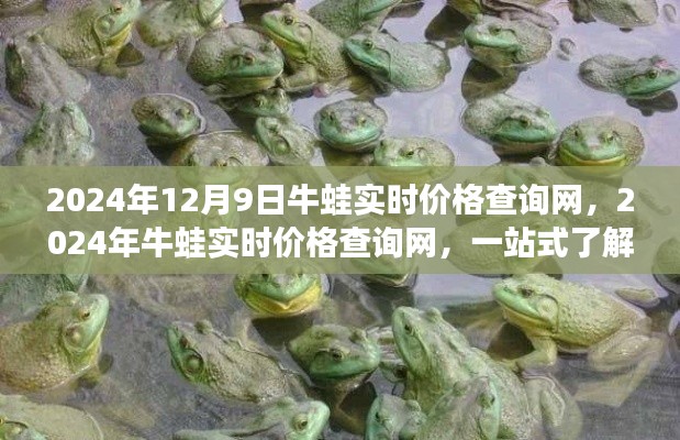 牛蛙市场行情与实时价格查询网，一站式获取牛蛙最新价格信息