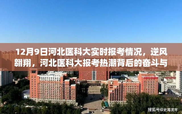 河北医科大报考热潮背后的奋斗与希望，实时报考情况分析