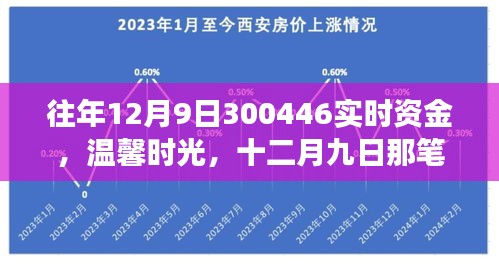 十二月九日特殊实时资金背后的友情故事,温馨时光与300446资金流转