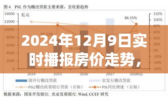 跃向未来的希望之光，2024年房价走势实时播报