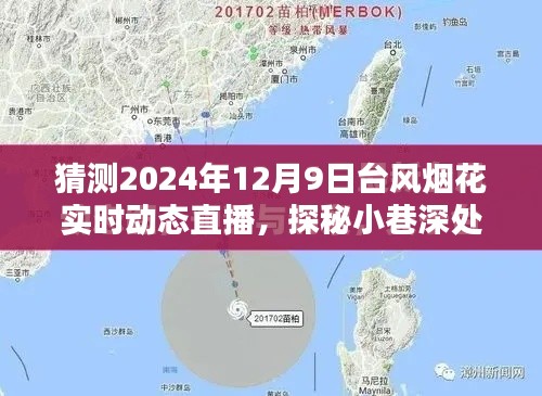 探秘小巷特色小店,揭秘台风烟花下的惊喜直播实况动态