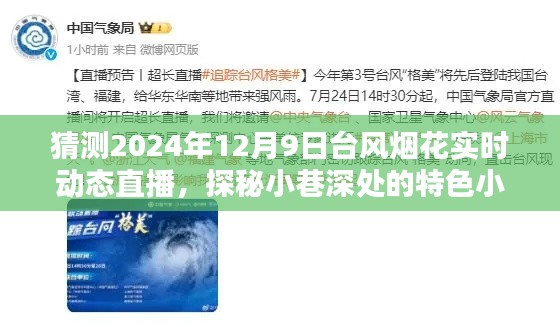 探秘小巷特色小店，揭秘台风烟花下的惊喜直播实况动态