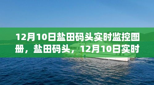 盐田码头12月10日实时监控图册全景透视之旅