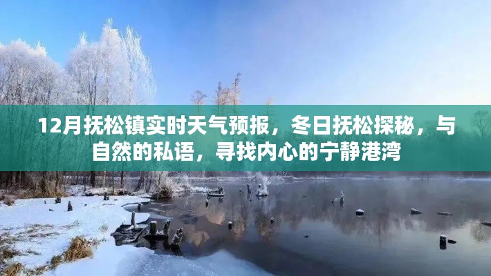 冬日抚松探秘，实时天气预报与自然的对话，寻找心灵港湾
