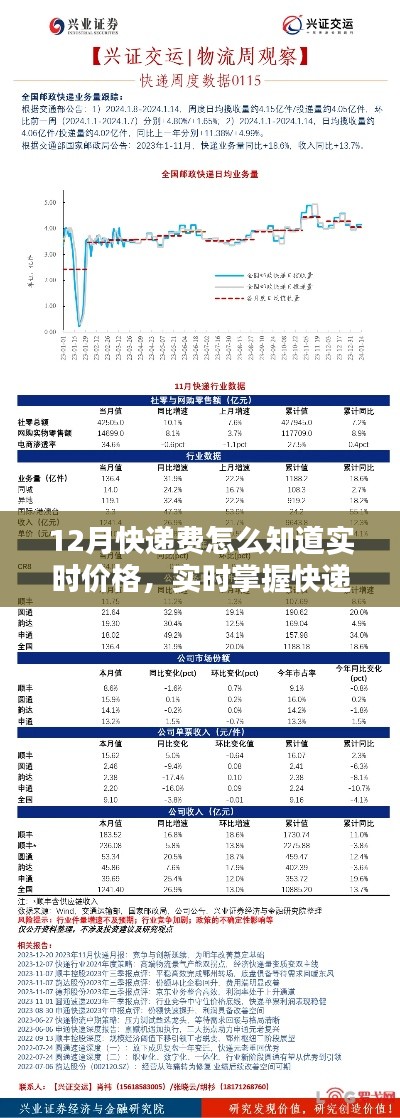12月快递费实时查询系统解析，掌握费用动态，轻松查询