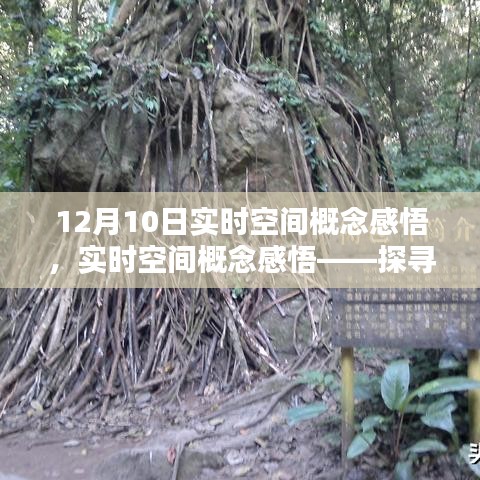 鸢飞鱼跃 第2页
