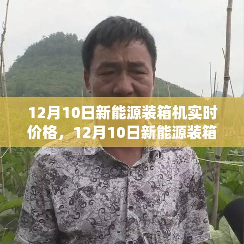 12月10日新能源装箱机实时价格及市场走势深度解析