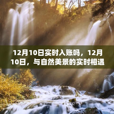 12月10日探寻内心平静之旅，与自然美景的实时相遇与实时入账体验