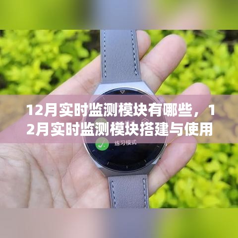 从零起步到技能进阶，12月实时监测模块搭建详解与使用指南