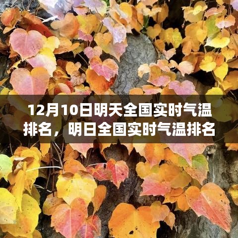 优秀摄影 第131页