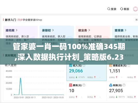 管家婆一肖一码100%准确345期,深入数据执行计划_策略版6.237