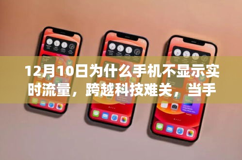 手机流量冬眠破解，学习变化，自信探索实时显示的科技旅程